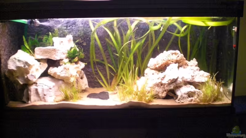 Front Aufnahme