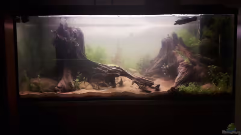 Gesammtes Becken