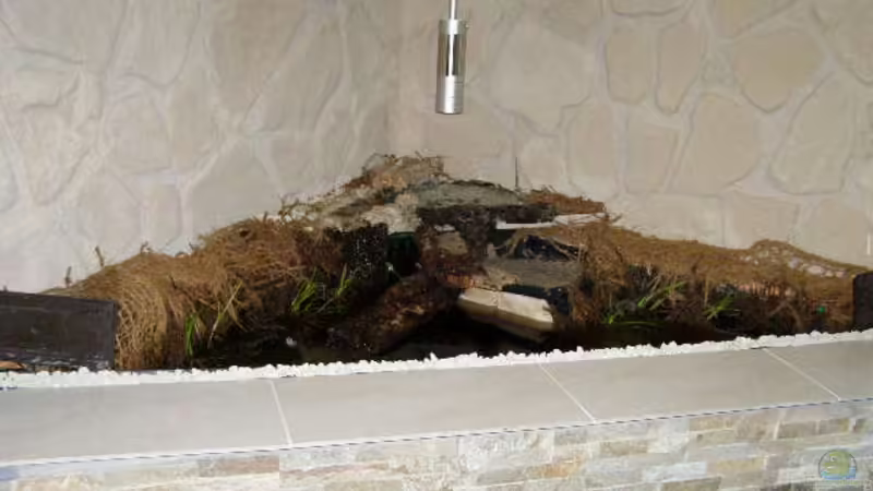 Gesamter Teich 
