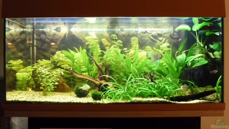 Hauptansicht von 180L Gesellschaftsbecken