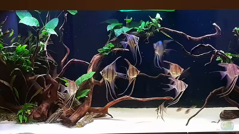 Hauptbild