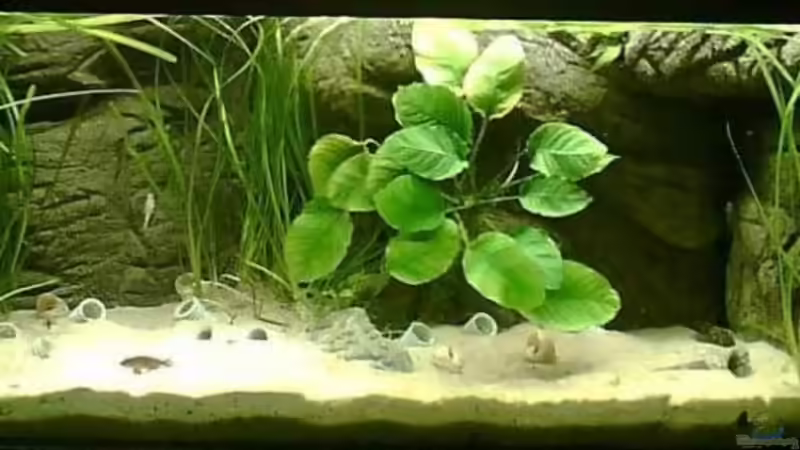 Hauptbild