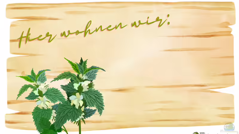 Hier wohnen wir - Aus Unordnung wird Lebensraum