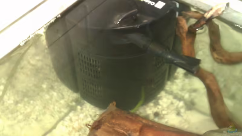Einrichtungsbeispiele mit JBL CristalProfi i80 Einrichtungsbeispiele mit JBL CristalProfi i80