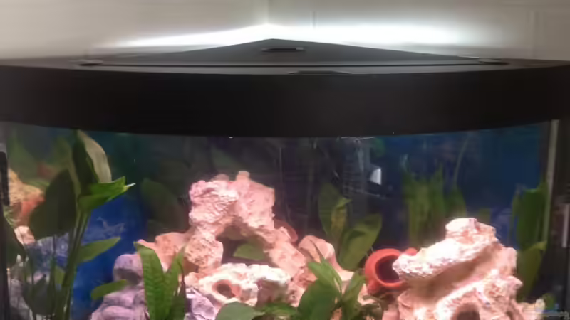 Juwel Trigon 190 