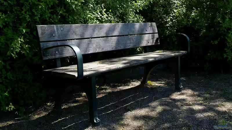 Lichtverhältnisse verstehen: Schatten, Halbschatten, Sonne