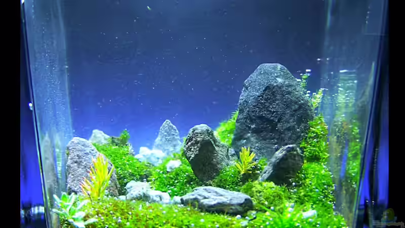 Little Big Stones