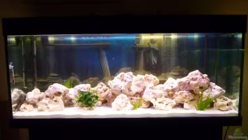 Malawiseebecken