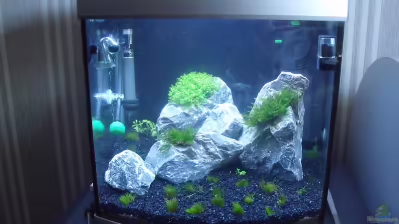 Mein 30l Becken