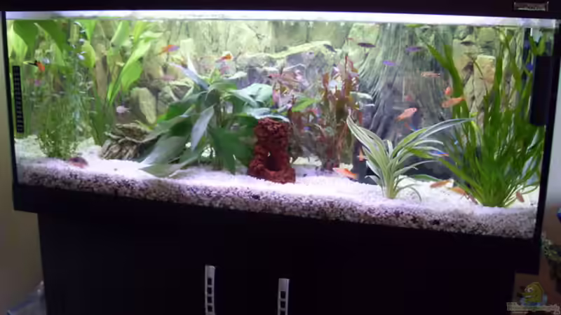 Mein Becken
