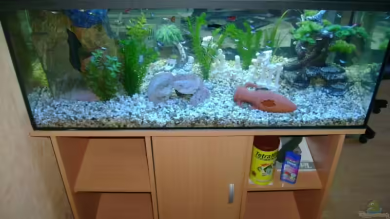 Mein schönes Aquarium