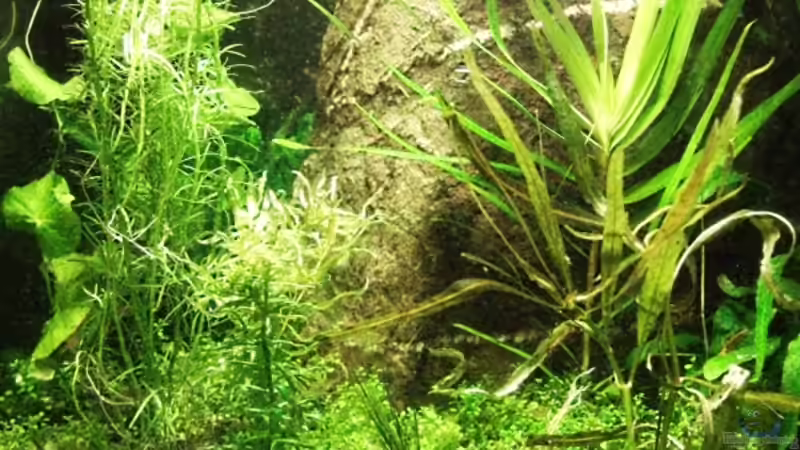 Nano Cube 30L