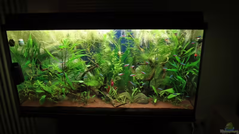 neues Hauptbild vom 10.10.10