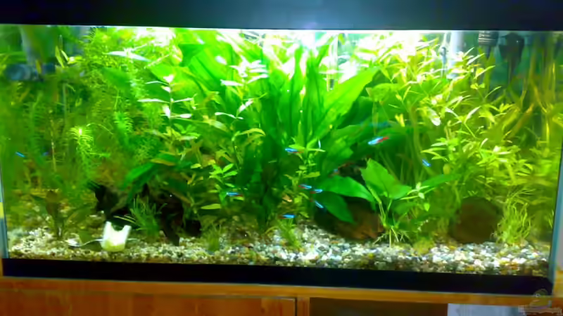 neues Hauptbild vom 14.11.08