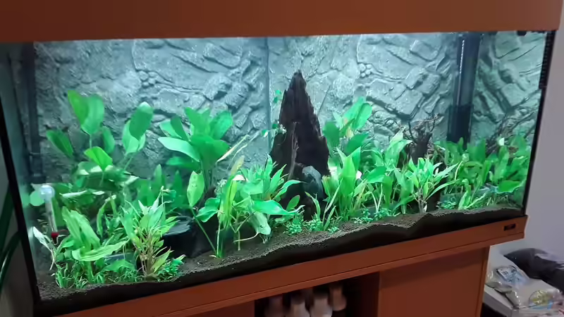 Rio 300