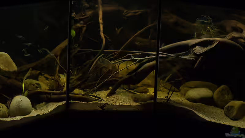 Rio Tapajos ... ein Traum aus Südamerika ..