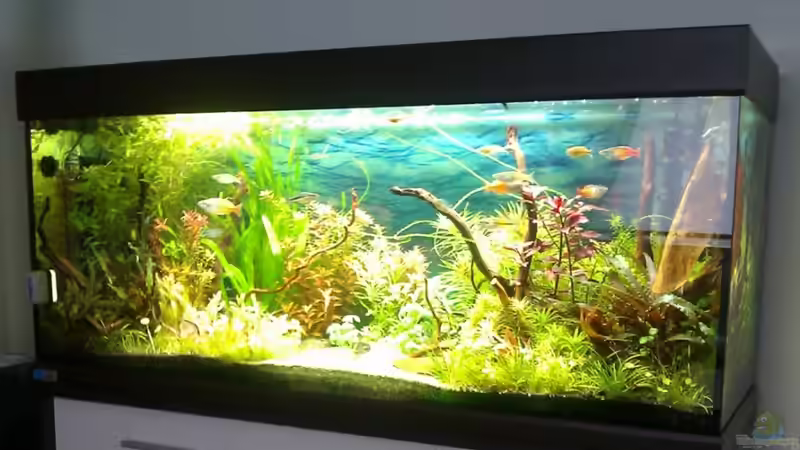 Scubaline240