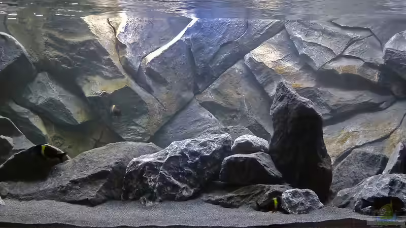 Tanganjika