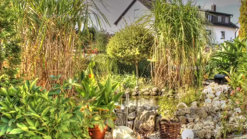 Teichfoto in HDR Qualität 