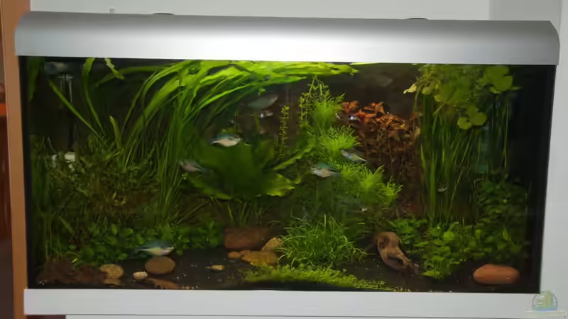 Unser Becken