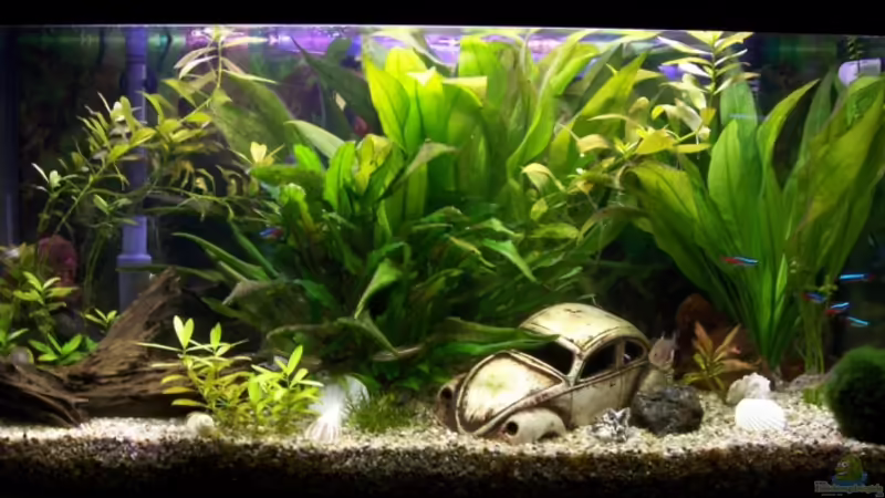 Unser Becken
