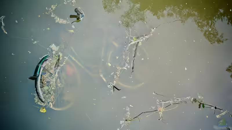 Was ist Magnetfischen? von Tom