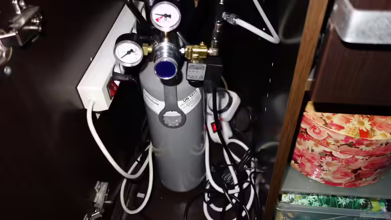 Welcher Aquarianer benötigt eine CO2-Anlage?