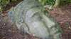 Harmonie im Terrarium: Gestaltung nach Feng Shui