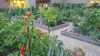 Urban Gardening: Grüne Oasen mitten in der Stadt