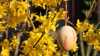 Frühlingserwachen im Garten – Ostern als Fest der Natur