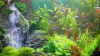 Voll im Trend: Ideen für deine Aquarium-Dekoration