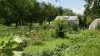 Das Idyll Schrebergarten: Mit eigenem Gartenteich?