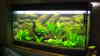 Aquarium