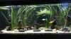 Aquarium