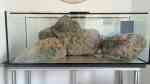 Arstone für Aquarium und Terrarium (Einrichtungsbeispiele mit Produkten von Arstone) Arstone für Aquarium und Terrarium (Einrichtungsbeispiele mit Produkten von Arstone)