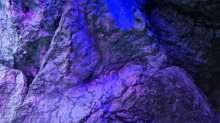 Dekoration im Aquarium Malawibiotop