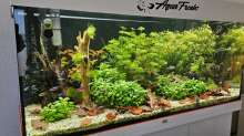 Aquarium RIO 180 am 08.03.2025