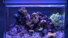 Aquarium 1,5l Nano - Aquarium