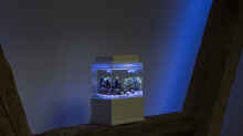Aquarium 1,5l Nano - Aquarium