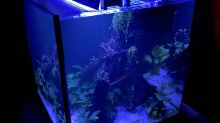 Technik im Aquarium 216er Cube