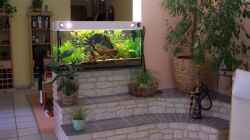 Aquarium Becken 10033