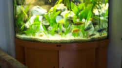 Aquarium Becken 102