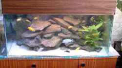 Aquarium Becken 1027