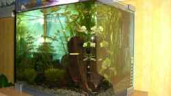 Aquarium Becken 10470