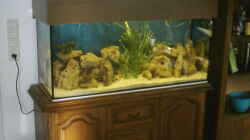 Aquarium Becken 105