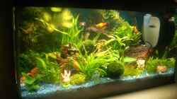 Aquarium Becken 10661