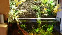 Aquarium Becken 10720