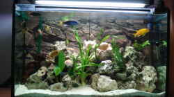 Aquarium Becken 10914