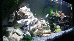 Aquarium Becken 11078