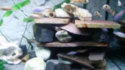 Dekoration im Aquarium Becken 11078